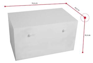 Úložný box TILMA, 70,6x41,6x41,6, biela/mačka