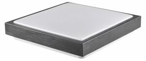 Stropné svietidlo KAZIMIERZ 2xE27/20W/230V 29,5x29,5 cm čierna