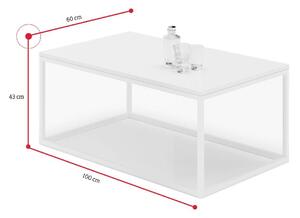Konferenčný stolík RISA, 100x43x60, biela
