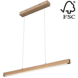 Spot-Light 1509474 - LED Stmievateľný luster na lanku SMAL LED/12W/230V