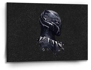 Sablio Obraz BLACK PANTHER z profilu Vesmír - 90x60 cm
