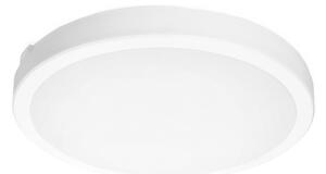 LED Kúpeľňové stropné svietidlo so senzorom NAIROS LED/36W/230V IP65 biela + DO
