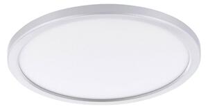 STROPNÉ LED SVIETIDLO, 29,5/2,5 cm Eglo - Online Only bytové doplnky, Online Only