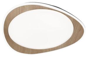 Rabalux 2427 - LED stropné svietidlo TAMINO LED/24W/230V