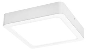 Rabalux 3176 - LED Stropné svietidlo SHAUN LED/24W/230V 22 cm