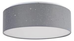 Rabalux - LED stropné svietidlo LED/22W/230V sivé