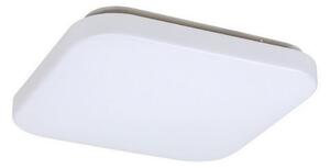 Rabalux 3340 - LED stropné svietidlo ROB LED/20W/230V