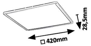 Rabalux 3430 - stmievateľné stropné LED svietidlo PAVEL LED/22W/230V