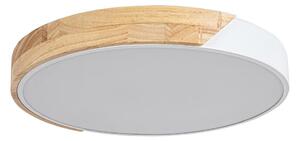 Rabalux 3527 - LED Stropné svietidlo MAPLE LED/24W/230V biela