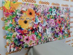 Obraz pestrofarebné kvety - 100x50