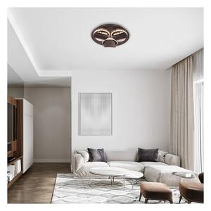 Rabalux 5050 - Stmievateľné LED stropné svietidlo CAPRIANA LED/18W/230V