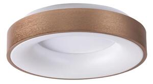 Rabalux 5052 - LED Stropné svietidlo CARMELA LED/30W/230V