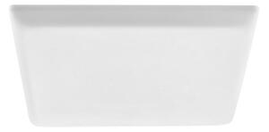 Rabalux 5374 - LED Podhľadové svietidlo OLEG LED/24W/230V IP65