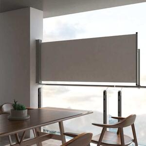 Maison Exclusive - Rozahovatená boná markíza 100x300 cm sivá