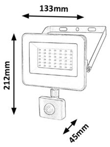 Rabalux 7068 - LED Reflektor so senzorom FLOOD LED/30W/230V 4000K IP44 čierna