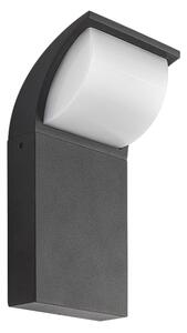 Rabalux 7166 - LED Vonkajšie nástenné svietidlo HONGKONG LED/9W/230V IP65