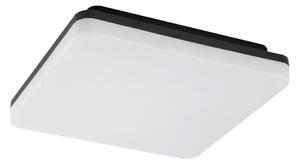 Rabalux 7250 - LED kúpeľňové stropné svietidlo PERNIK LED/24W/230V IP54