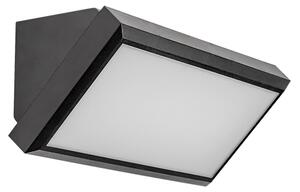 Rabalux 7282 - LED Vonkajšie nástenné svietidlo RAPLA LED/12W/230V IP54
