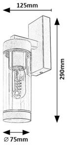 Rabalux 7386 - Vonkajšia nástenná lampa KOLTA 1xE27/12W/230V IP44