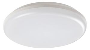 Rabalux 7979 - LED Vonkajšie stropné svietidlo ERIC LED/24W/230V IP64