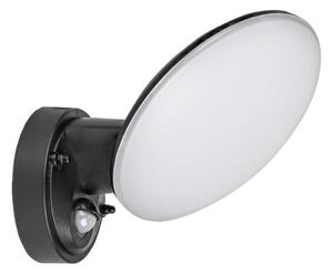 Rabalux 8135 - LED Vonkajšie nástenné svietidlo senzor VARNA LED/12W/230V IP54