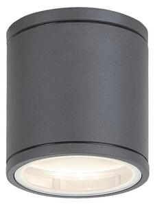 Rabalux 8150 - Vonkajšie stropné svietidlo AKRON 1xGU10/35W/230V IP54