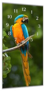 Nástenné hodiny papagáj 30x60cm XXVIII - plexi