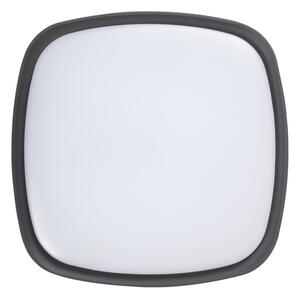 Rabalux 8797 - LED Vonkajšie stropné svietidlo AUSTIN LED/20W/230V IP65