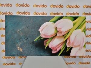 Obraz pastelovo ružové tulipány - 100x50
