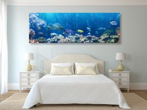 Obraz tropické rybky - 150x50