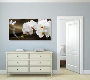 Obraz orchidea a motýľ - 100x50