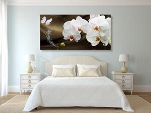 Obraz orchidea a motýľ - 100x50