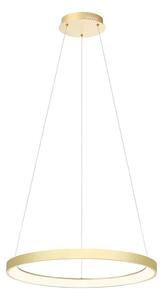 Redo 01-2673-LED Stmievateľný luster na lanku ICONIC LED/50W/230Vpr. 58 cm zlatá