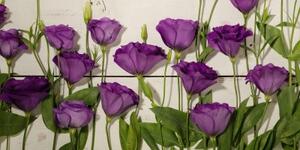 Obraz nádherné fialové kvety - 120x60