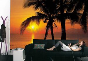 Fototapety, rozmer 368 x 254 cm, Palmy Beach Sunrise, Komar 8-255