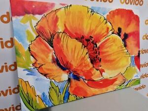 Obraz kytica makových kvetov - 60x40