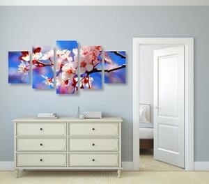 5-dielny obraz čerešňový kvet - 100x50