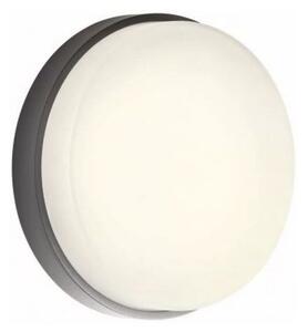 Redo 90516 - LED Vonkajšie stropné svietidlo URANIA LED/10W/230V IP65 antracit