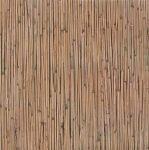 Samolepiace fólie bambus, metráž, šírka 67,5 cm, návin 15m, GEKKOFIX 10595, samolepiace tapety
