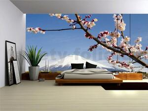 Fototapety, rozmer 368 x 254 cm, japonská sopka s kvety, IMPOL TRADE 8-006
