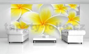 Vliesové fototapety, rozmer 312 x 219 cm, žlté kvety, IMPOL TRADE 033VE