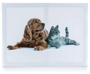 Obraz na plátne DOG AND CAT I 40x30 cm, motív pes s mačkou