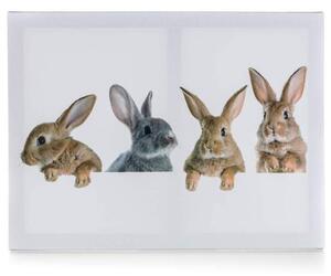 Obraz na plátne RABBITS 40x30 cm, motív zajačikovia