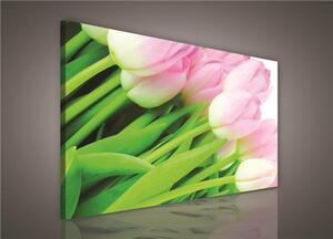 Obraz na plátne, rozmer 100 x 75 cm, tulipány, IMPOL TRADE 149O1