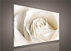 Obraz na plátne, rozmer 100 x 75 cm, ruža, IMPOL TRADE 147AO1