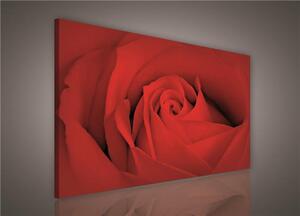 Obraz na plátne, rozmer 100 x 75 cm, ruže, IMPOL TRADE 147BO1