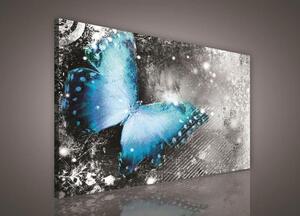 Obraz na plátne, rozmer 100 x 75 cm, motýľ, IMPOL TRADE PP218O1