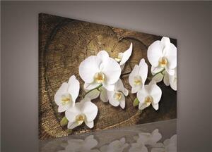 Obraz na plátne, rozmer 100 x 75 cm, orchidea na drevenom srdci, IMPOL TRADE PP417O1
