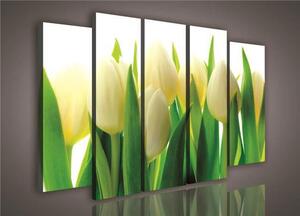 Obraz na plátne, rozmer 150 x 100 cm, tulipány, IMPOL TRADE PS987S12