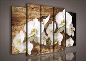 Obraz na plátne, rozmer 150 x 100 cm, orchidea, IMPOL TRADE PS414S12